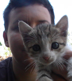 Korisnikov avatar